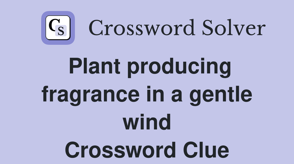 Plant producing fragrance in a gentle wind Crossword Clue Answers